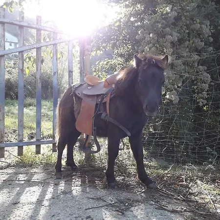 La Casa Nel Bosco Affittacamere La Spezia