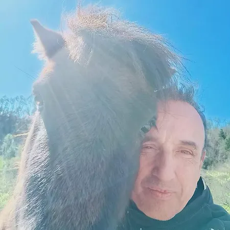 Affittacamere La Casa Nel Bosco *